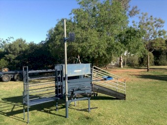 WANTED Harrington or Perkinz crutching stand.