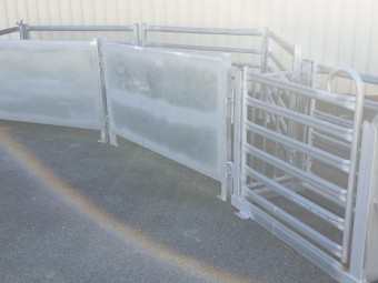 New Sheep Drafting Unit with Bugle Race