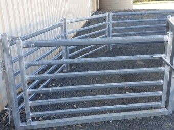 New Sheep Drafting Unit with Bugle Race