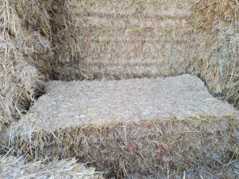 Oaten Hay Sheded-8x4x3 Squares, 500kg+