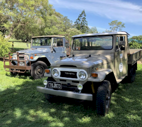 WANTED Toyota Landcruisers $250 finder fee