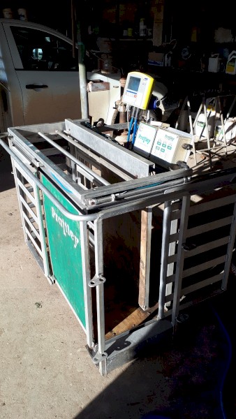 Sheep Scales Prattley 3 Way Auto Drafter PAD500 with XR3000 Trutest Reader