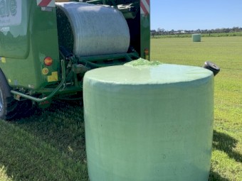 Lucerne Silage new season