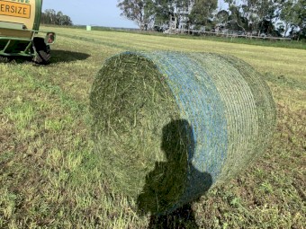Lucerne Silage new season