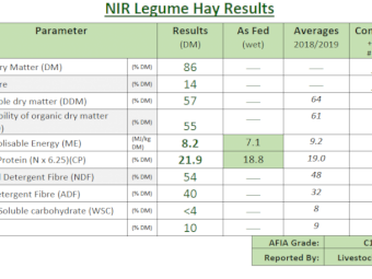 2020/21 SHEDDED VETCH FOR SALE 
