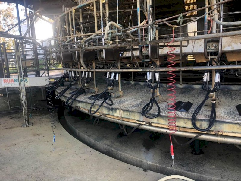 44 Unit Rotary Dairy plus lots of extras