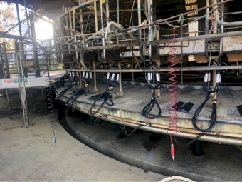 44 Unit Rotary Dairy plus lots of extras