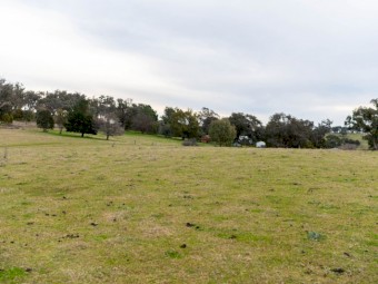 Ready for Sheep on 40 acres of property.