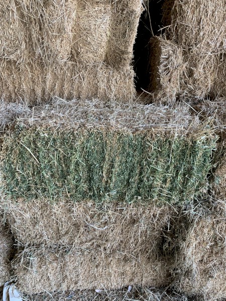 Lucerne Small Squares