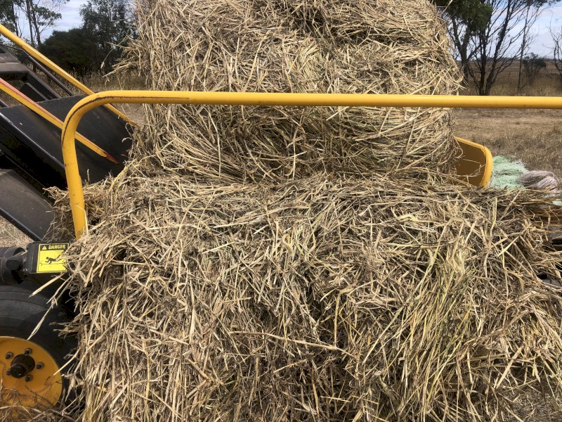 Barley & ryegrass hay