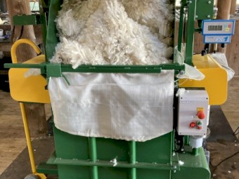 Lone Pine Merino Rams