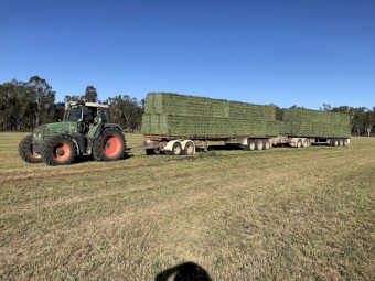 WANTED Standing Crops