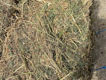 *****DISCOUNTED LUCERNE SMALL SQUARES $8 PER BALE*****
