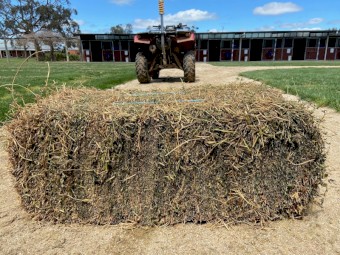 *****DISCOUNTED LUCERNE SMALL SQUARES $8 PER BALE*****