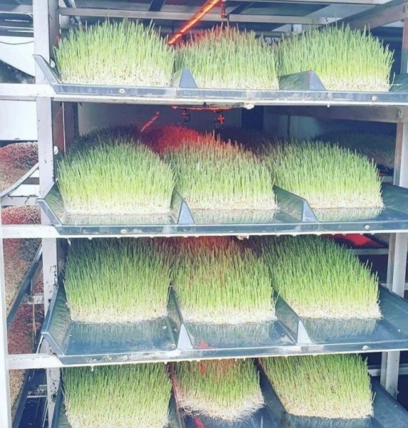 FS 500 Fodder Solutions Unit