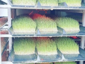 FS 500 Fodder Solutions Unit