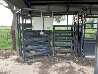 Boon Tech Pneumatic Crush