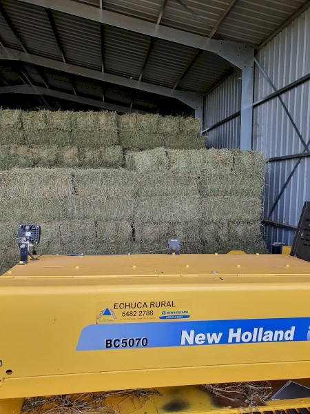 Lucerne Small Squares