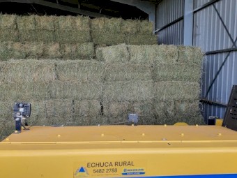 Lucerne Small Squares