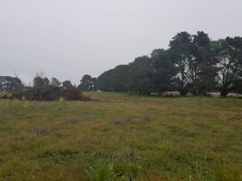 Agistment for sheep/cattle