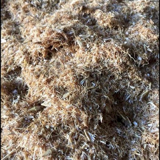 Stockfeed - Malt Culms, Barley, Rye, Wheat Screenings. - Delivery Available