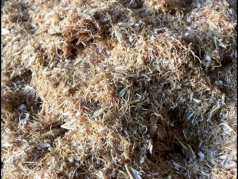 Stockfeed - Malt Culms, Barley, Rye, Wheat Screenings. - Delivery Available