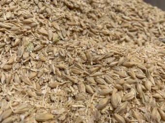 Stockfeed - Malt Culms, Barley, Rye, Wheat Screenings. - Delivery Available