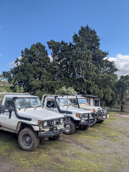 WANTED 1950-1990 TOYOTA LANDCRUISER