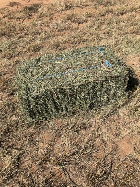 Lucerne Hay Small Squares 1st, 2nd & 3rd cut from 2020-21 + first cut from 2021-22 season.  Approx. 1000 bales all up.  Wanted to clear - Make an offer and come pick up. 