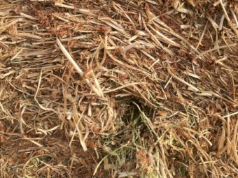 100mt Clover Hay 5x4 Rolls