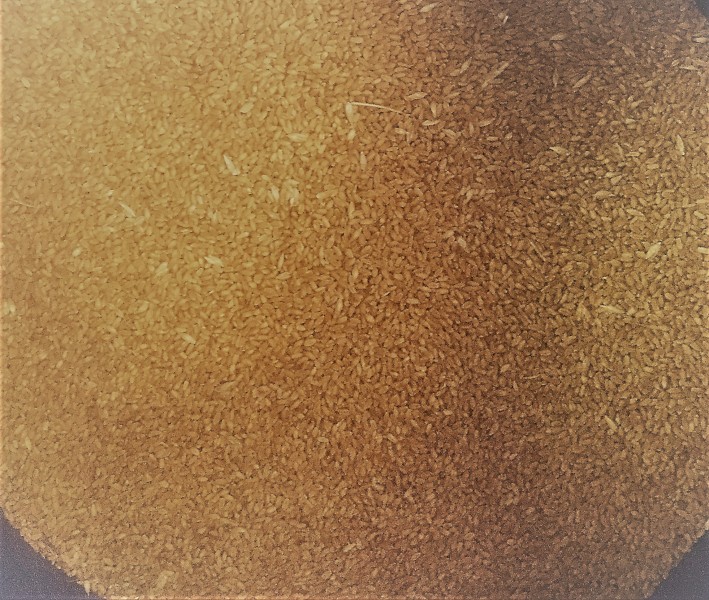 WANTED Clean Feed Wheat