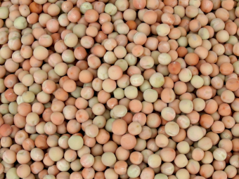 WANTED Field Peas - Ex farm / ex grain site / or delivered West Melb  Dec, Jan, Feb. Victoria/NSW - POA, 1000t +