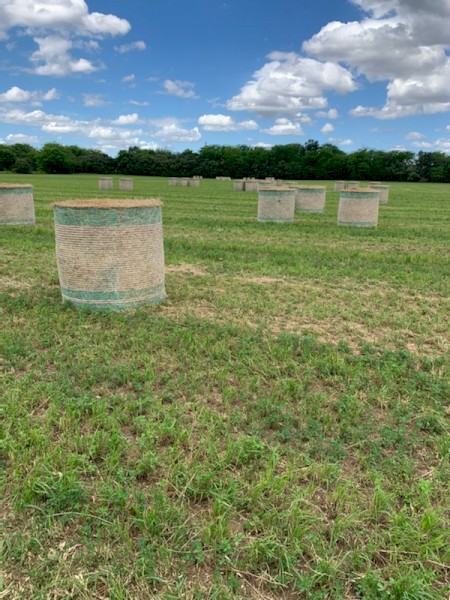 Rye Pasture Round Bales