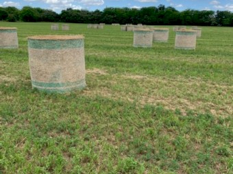 Rye Pasture Round Bales