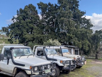 WANTED Toyota LandCruiser