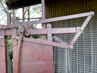 Cattle Crush Head Bail - John Berends