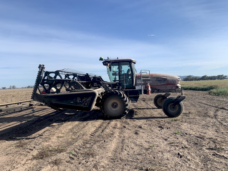 MacDon M150 Windrower with 30ft D60 Front