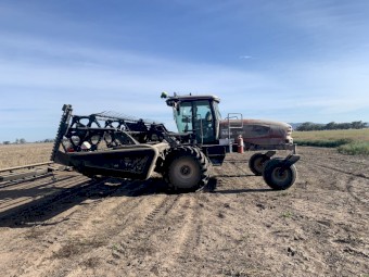 MacDon M150 Windrower with 30ft D60 Front
