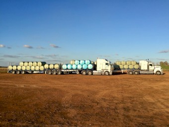 Fine chopped Corn Silage (baled)