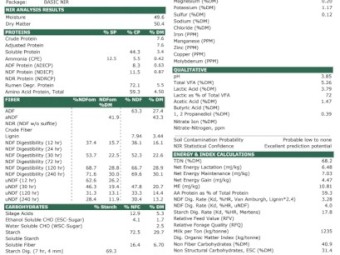 Fine chopped Corn Silage (baled)