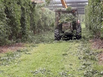 2013 Case Maxxum 100 with Afron TH1000 Orchard Pruning