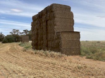 37mt Vetch Hay 8x4x3 Bales