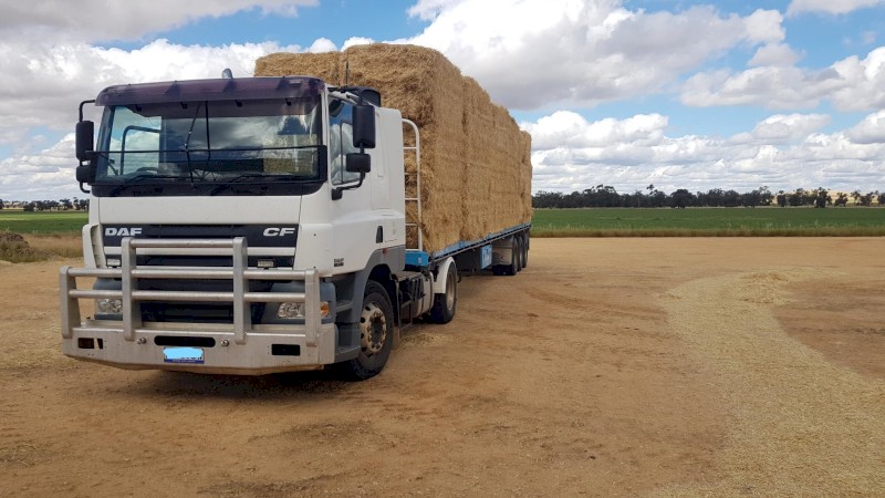 DAF CF85 380HP Truck 