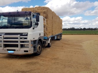 DAF CF85 380HP Truck 