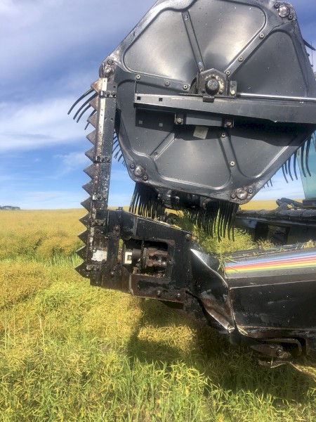 WANTED Countrywide Vertical Knife