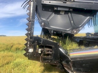 WANTED Countrywide Vertical Knife