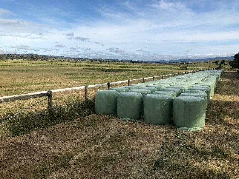 2021 Ryegrass Silage Rolls