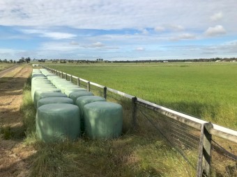 2021 Ryegrass Silage Rolls
