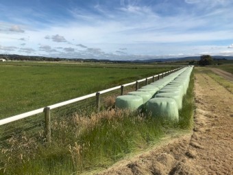 2021 Ryegrass Silage Rolls