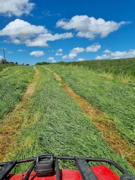 Lucerne Rye Grass 4x4 Haylage
